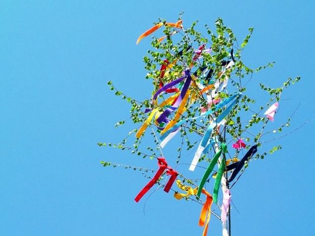 maibaum